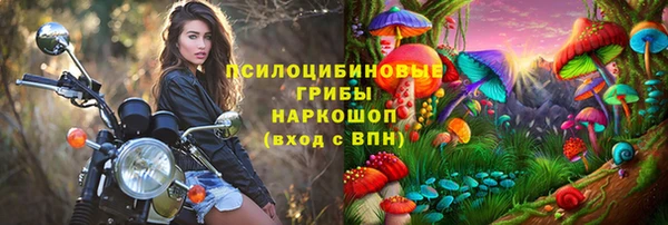 винт Алексин