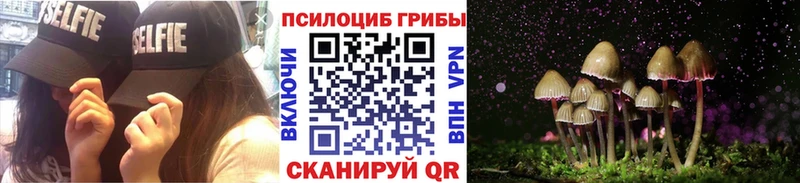 Галлюциногенные грибы прущие грибы  Краснознаменск 